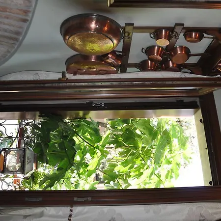 Maison Maggy 3*