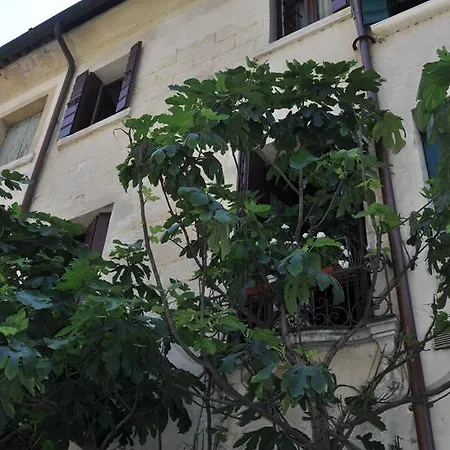 Maison Maggy Affittacamere 3*